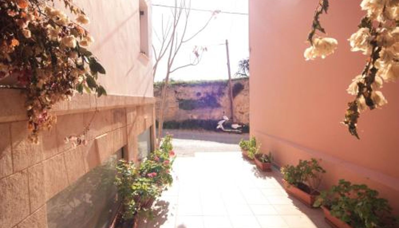 Hotel outdoor area - Ulrika