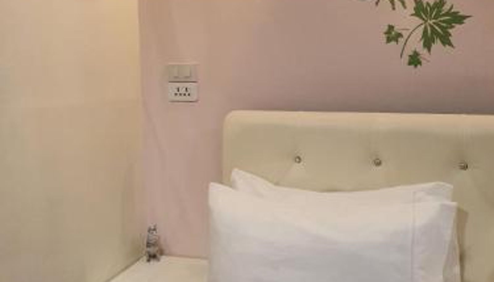 Pokój - Cana Boutique Hotel