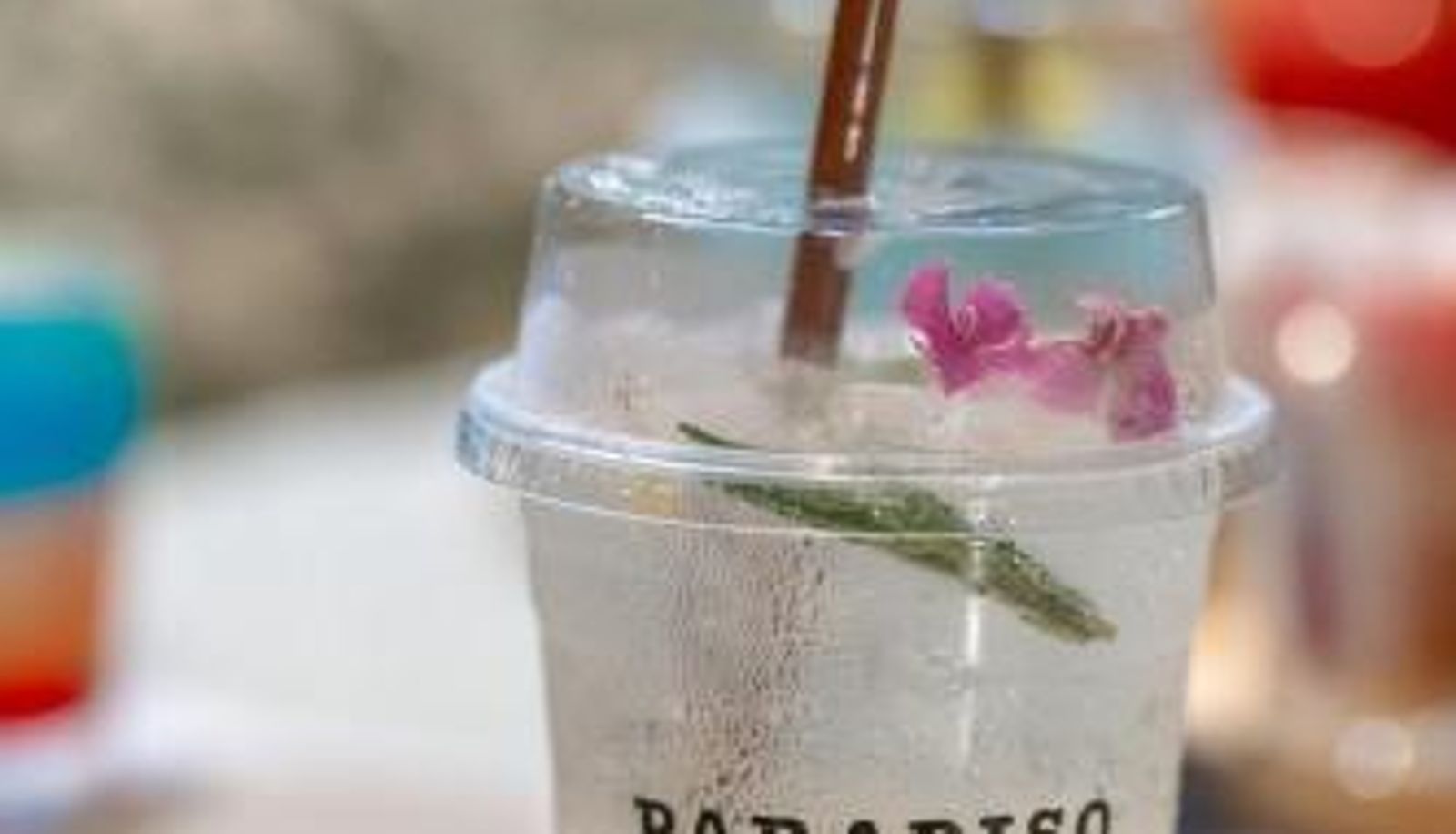 Info - Coco Paradiso Phuket SHA