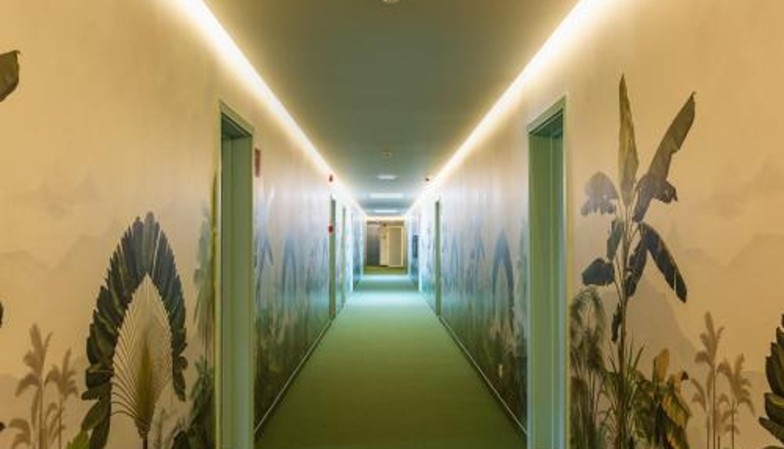 Area esterna dell'hotel - Three House Hotel