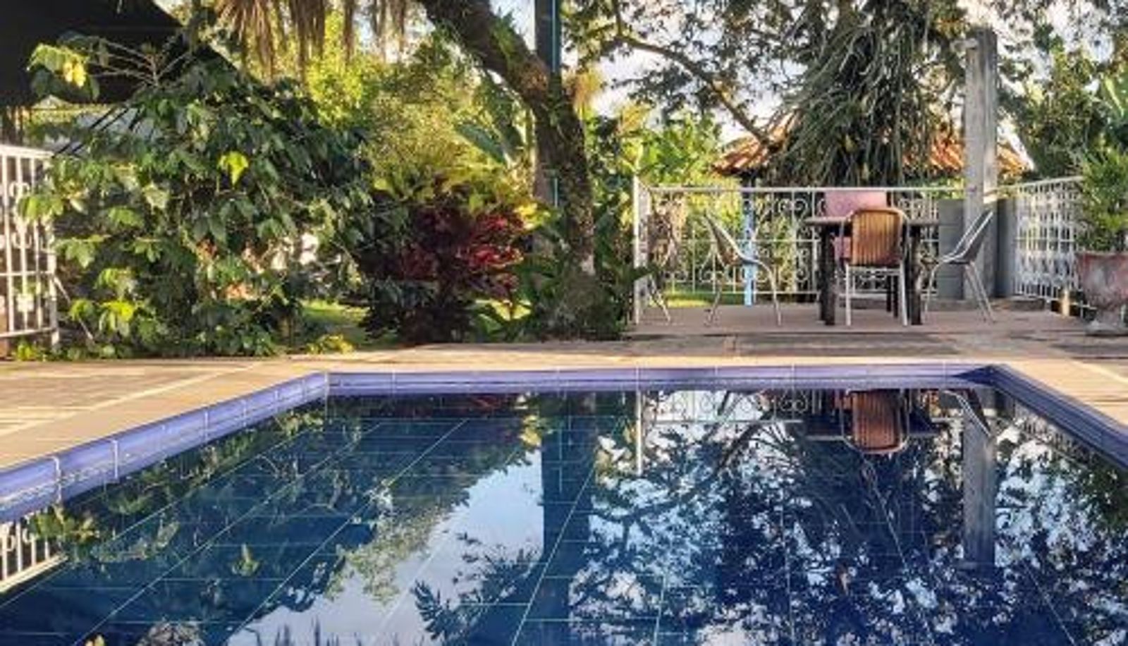 Pool - Balsora Hotel Boutique
