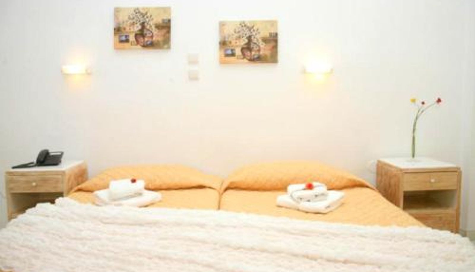 Appartement - Anthemio