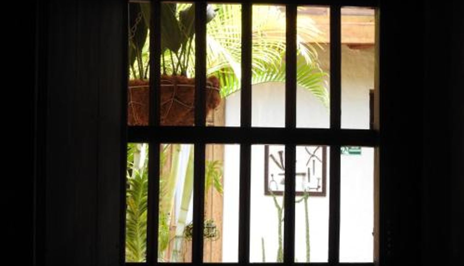 Zimmer - Hotel Casa Palosanto