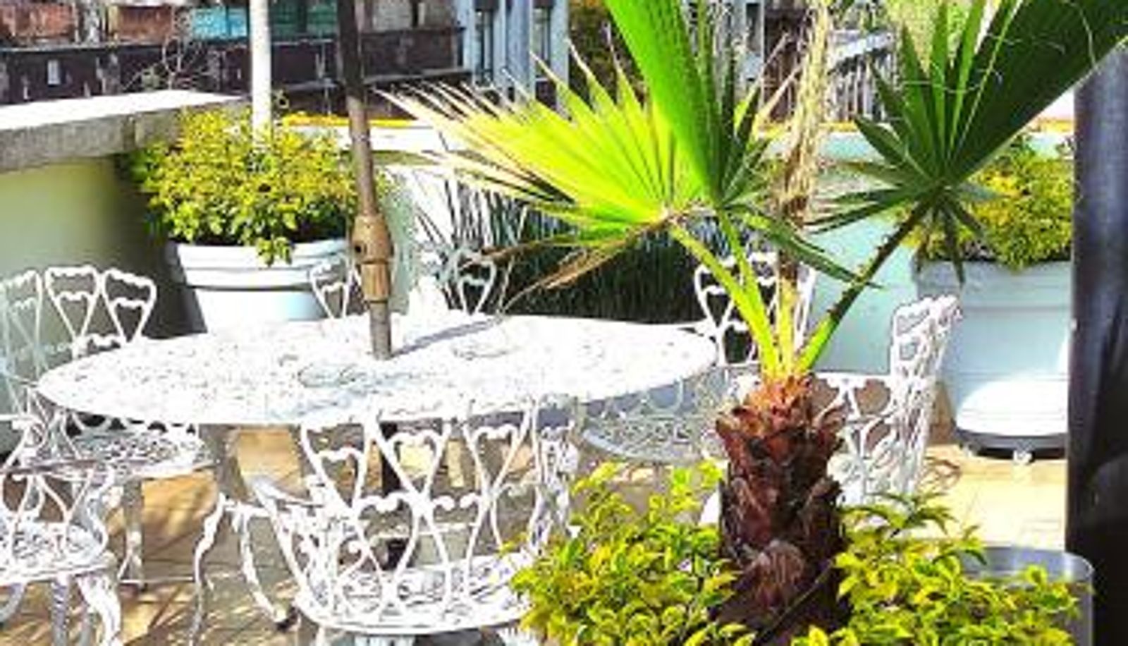 Terrace - Hotel Habana