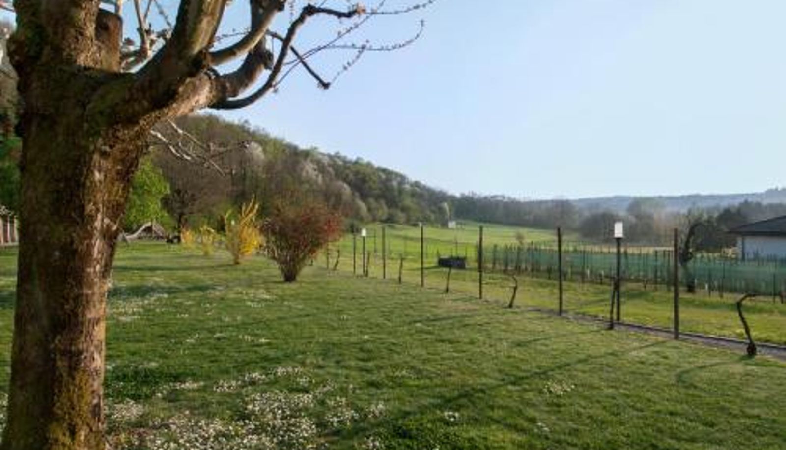 Información - Vecchia Osteria Seseglio
