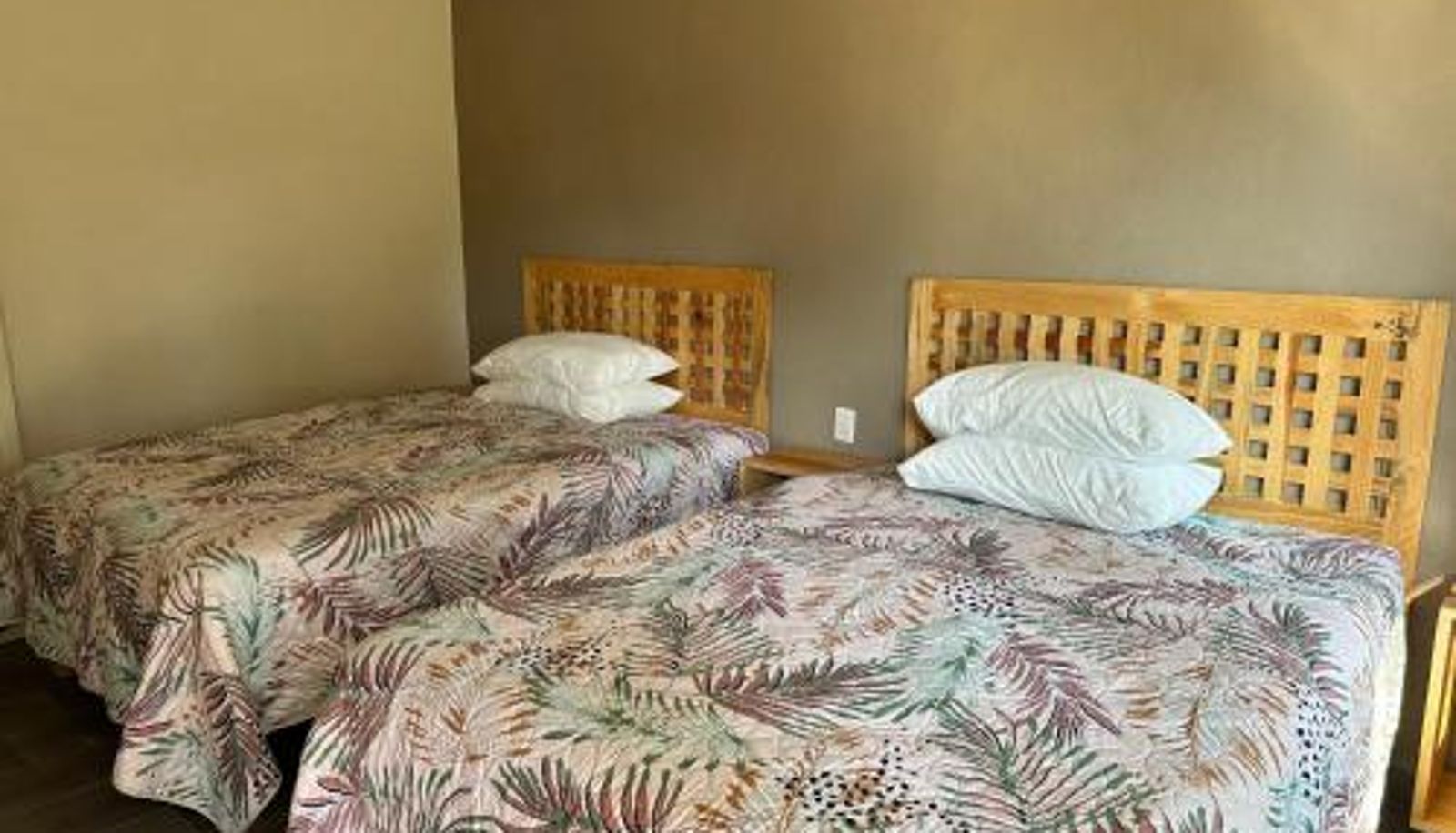 Info - Hotel San Carlos