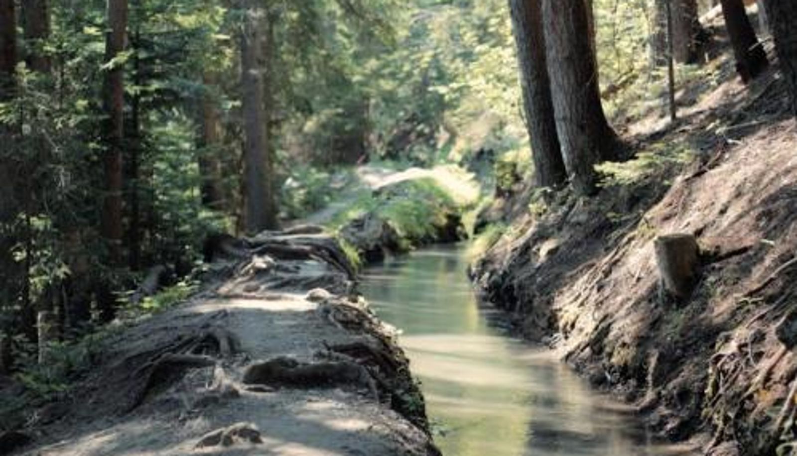 Espace bien-être et fitness - Woodland Village Anzère
