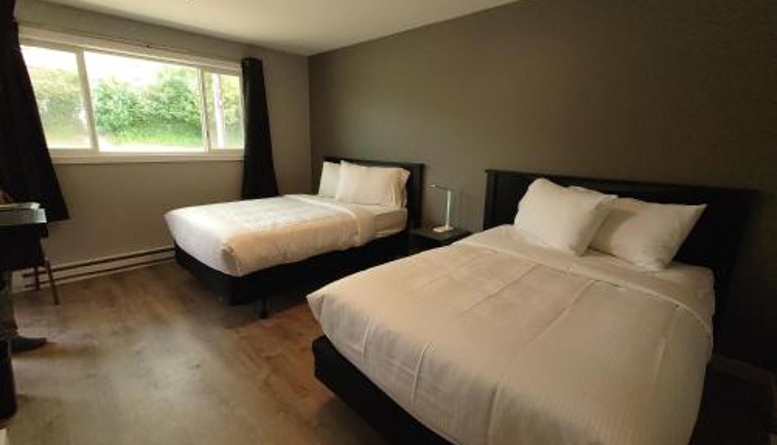 Camera - Traveler's Inn