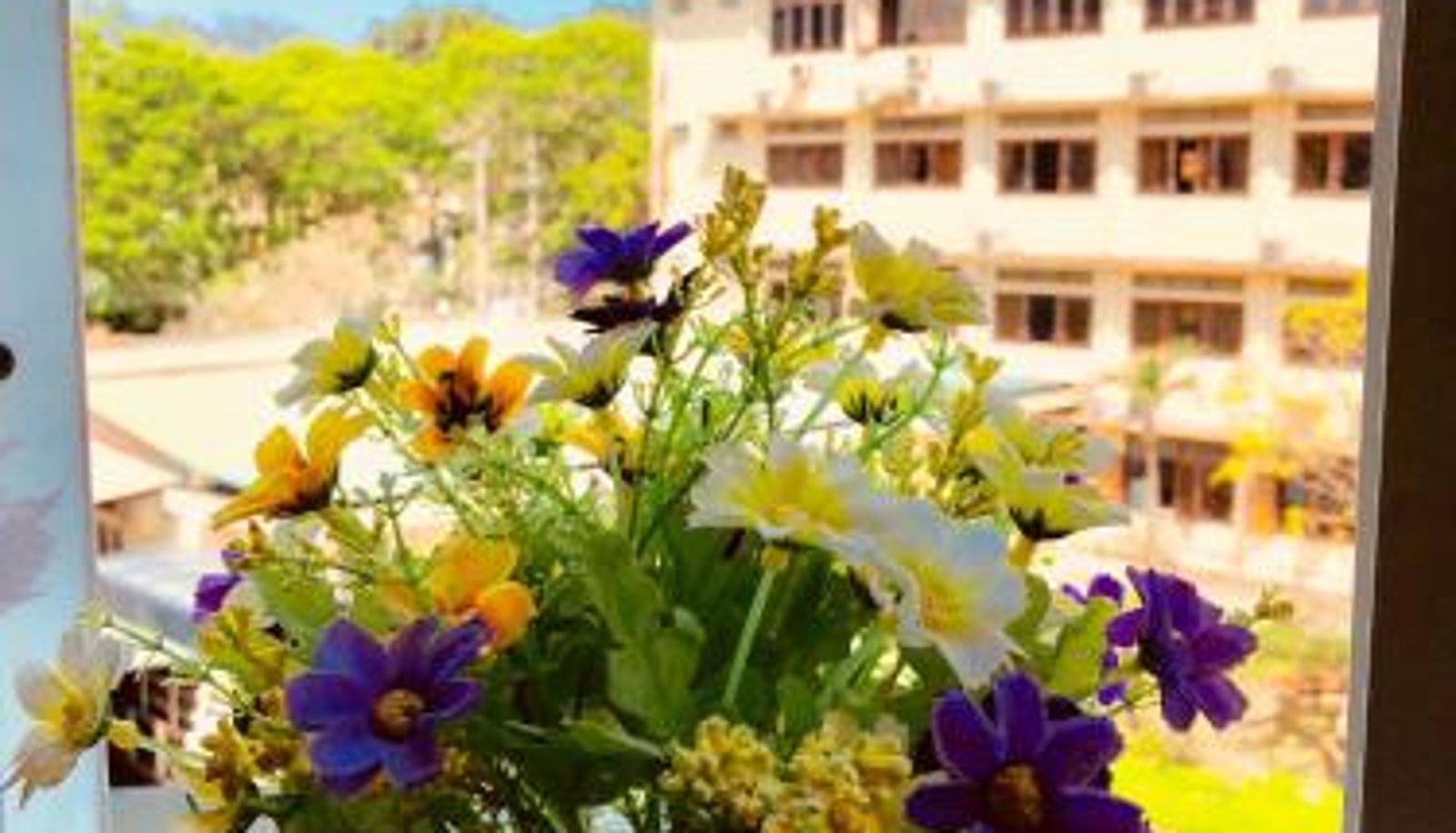 Info - Star Binh Duong Hotel