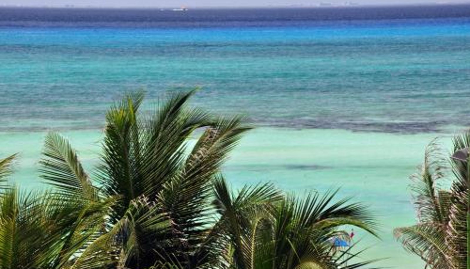 Info - El Taj Oceanfront and Beachside Condo Hotel