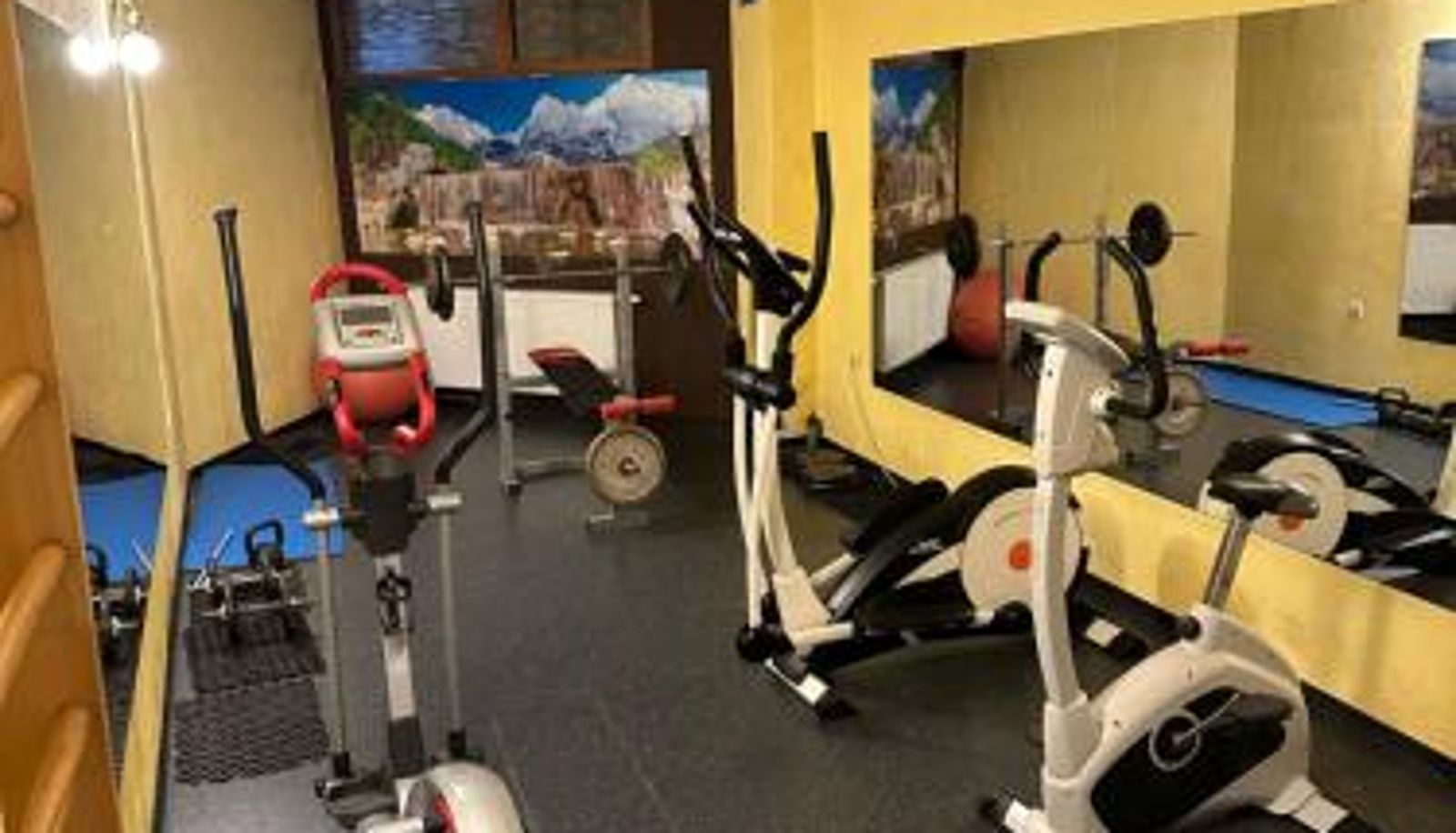 Wellness- und Fitnessbereich - Green Wood Hotel & Spa