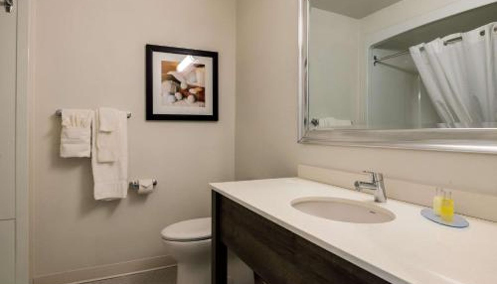 Zimmer - an Ascend Collection Hotel Amsterdam Inn & Suites