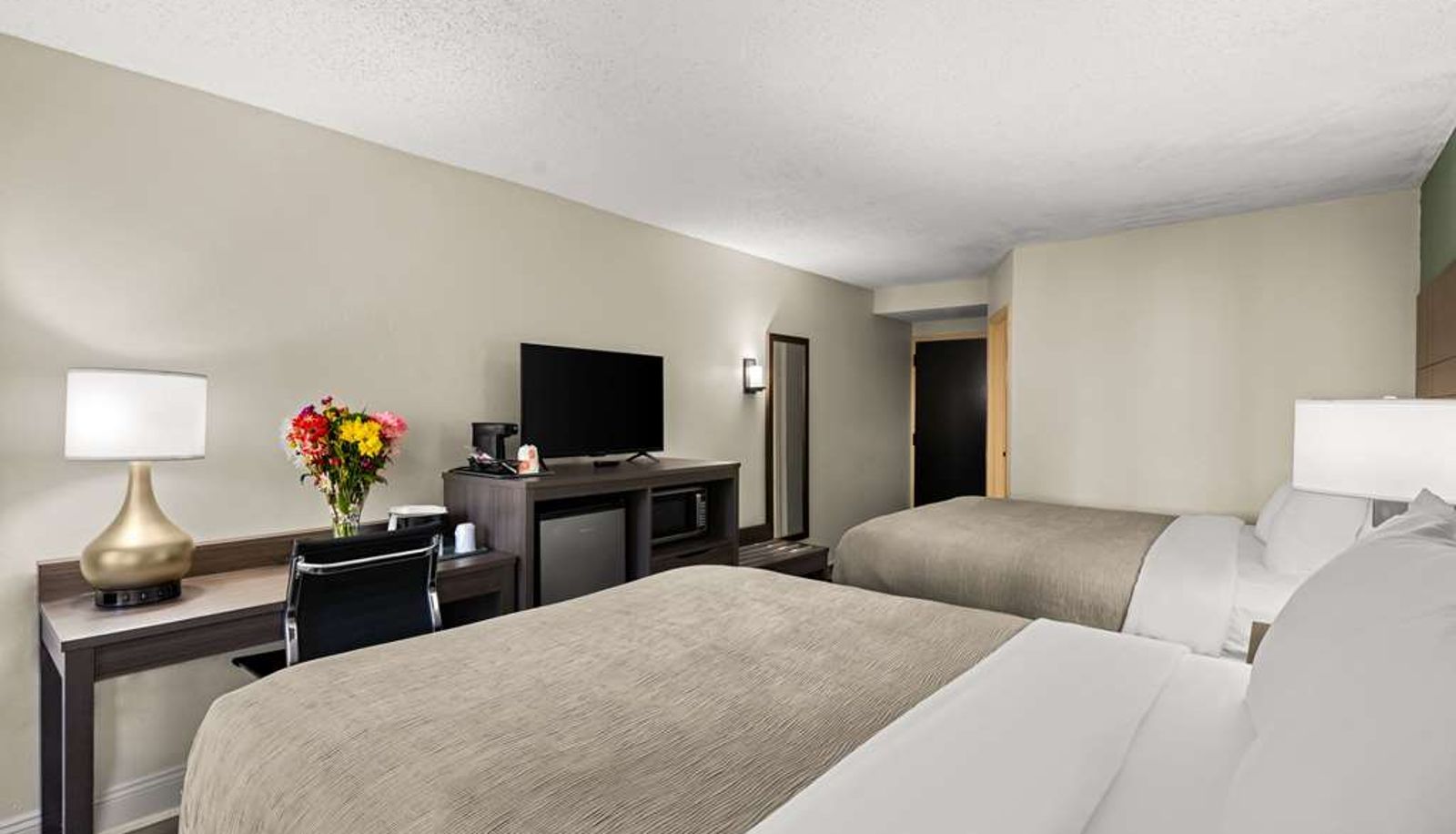 Room - Quality Inn & Suites North Little Rock