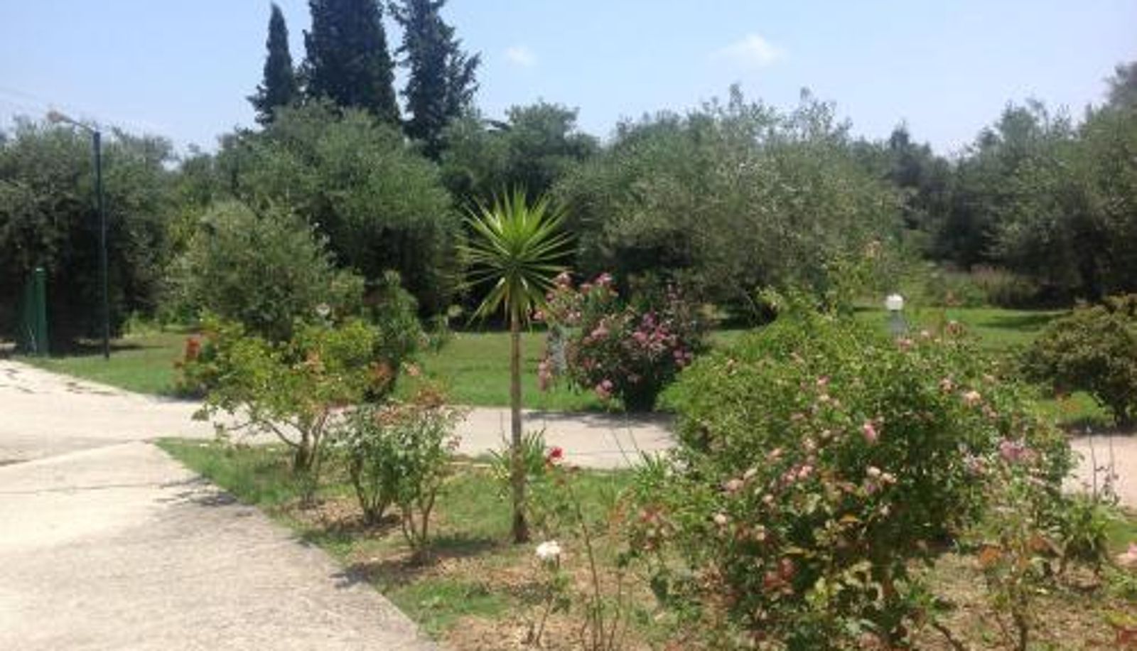 Info - Yianetta Hotel & Suites