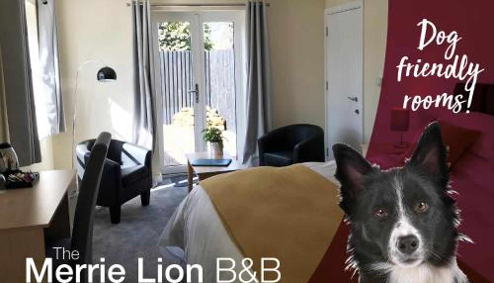 Info - The Merrie Lion
