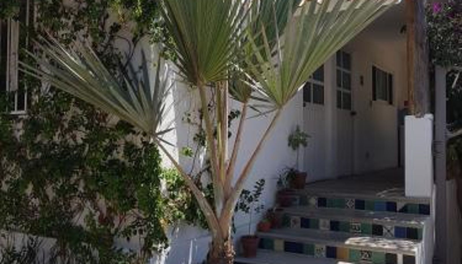 Terraza - Los Milagros Hotel