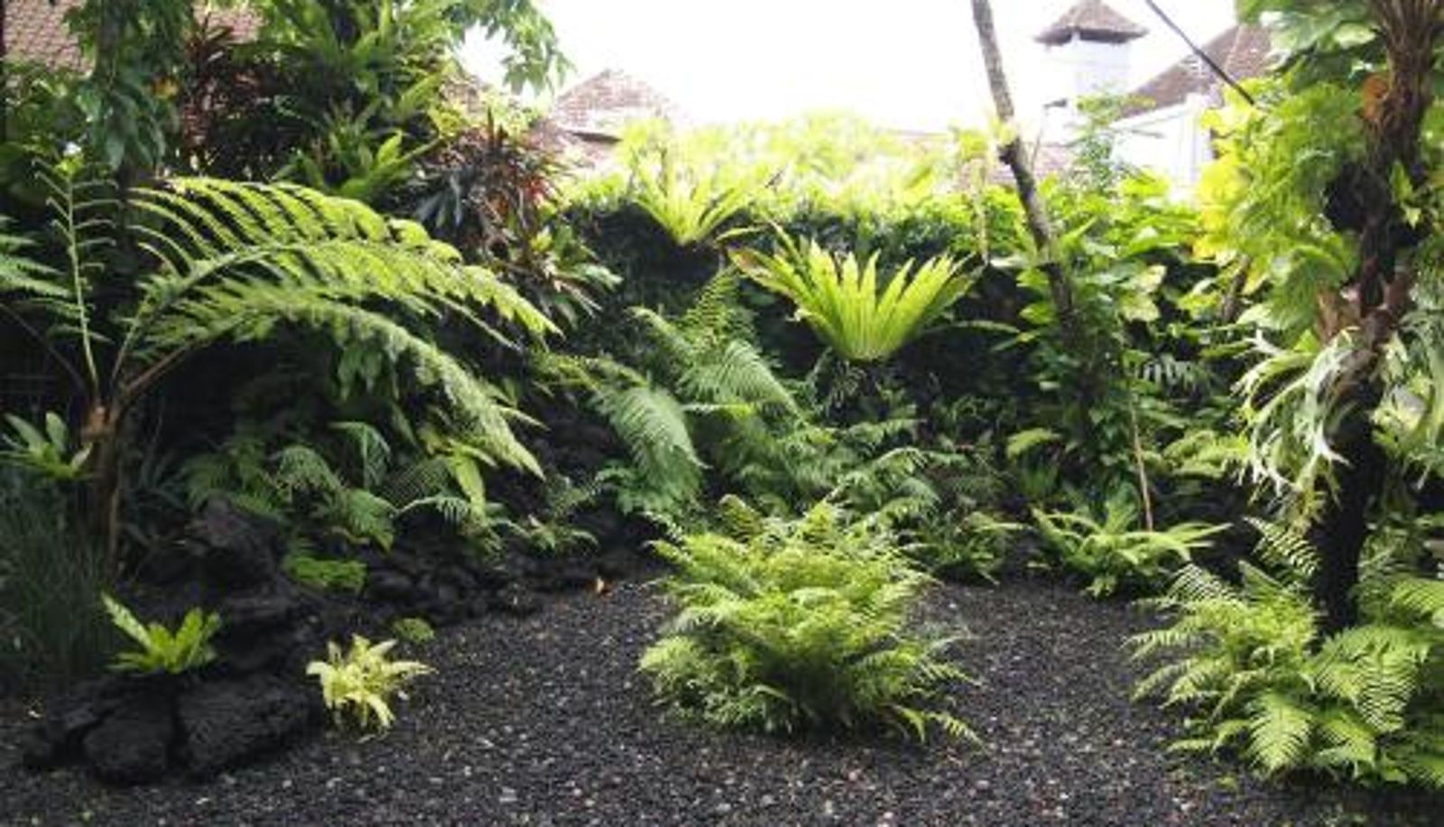 Info - Yulia Village Inn Ubud