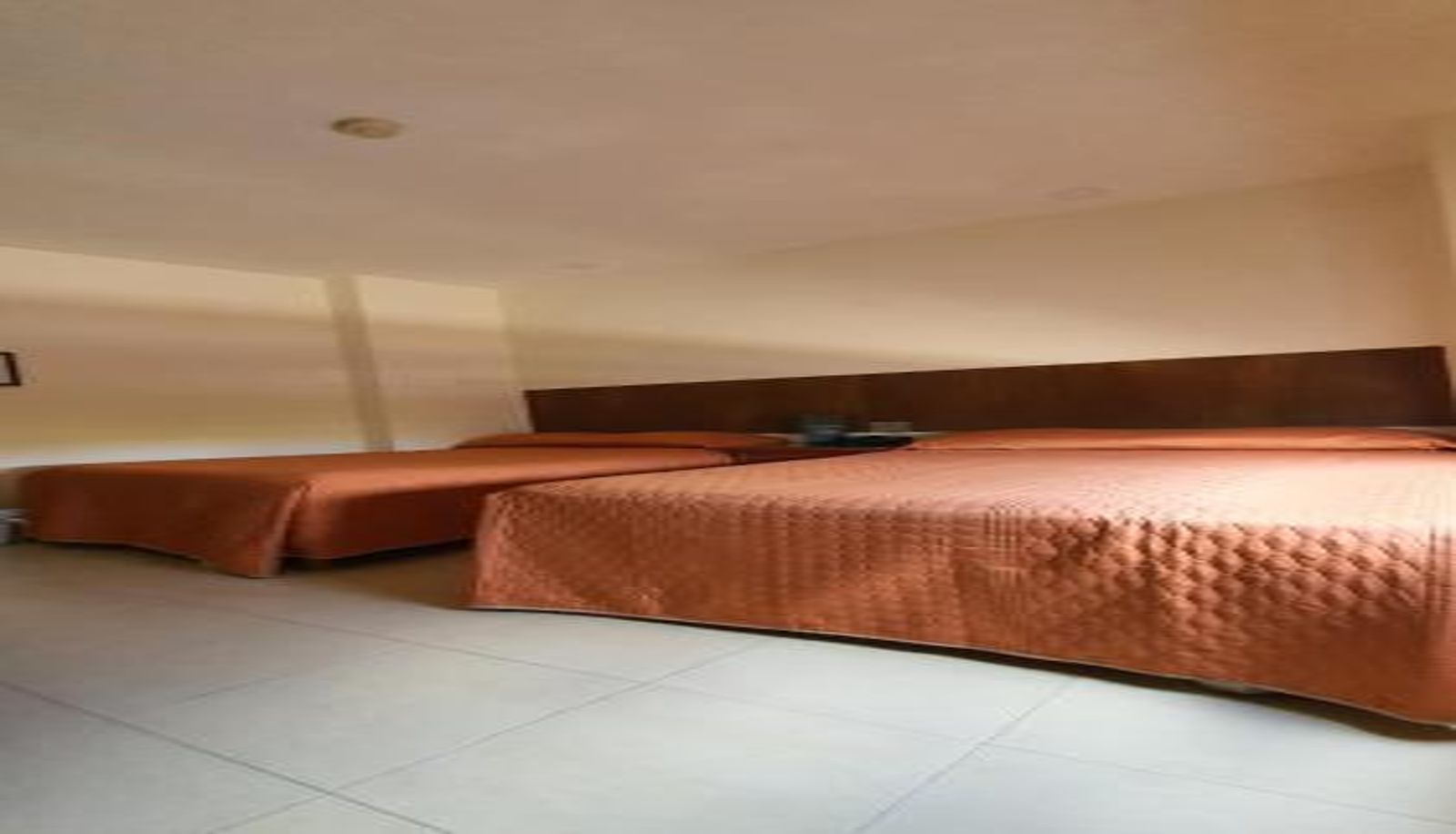 Zimmer - Hotel el Mayo Inn