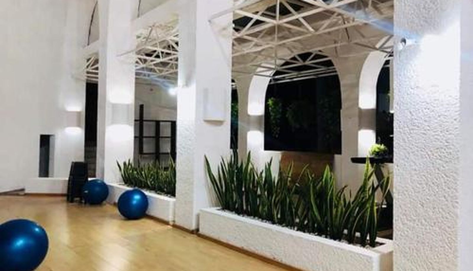 Wellness- und Fitnessbereich - Ixtapa Palace