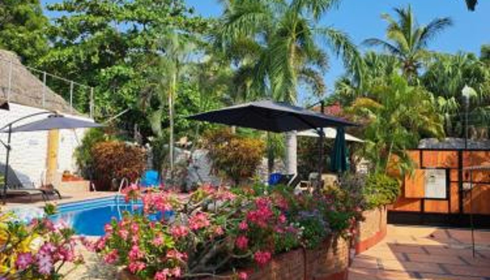 Info - Playa Zicatela - Adults Only - Kitchen - Cocina HOTELITO SWISS OASIS