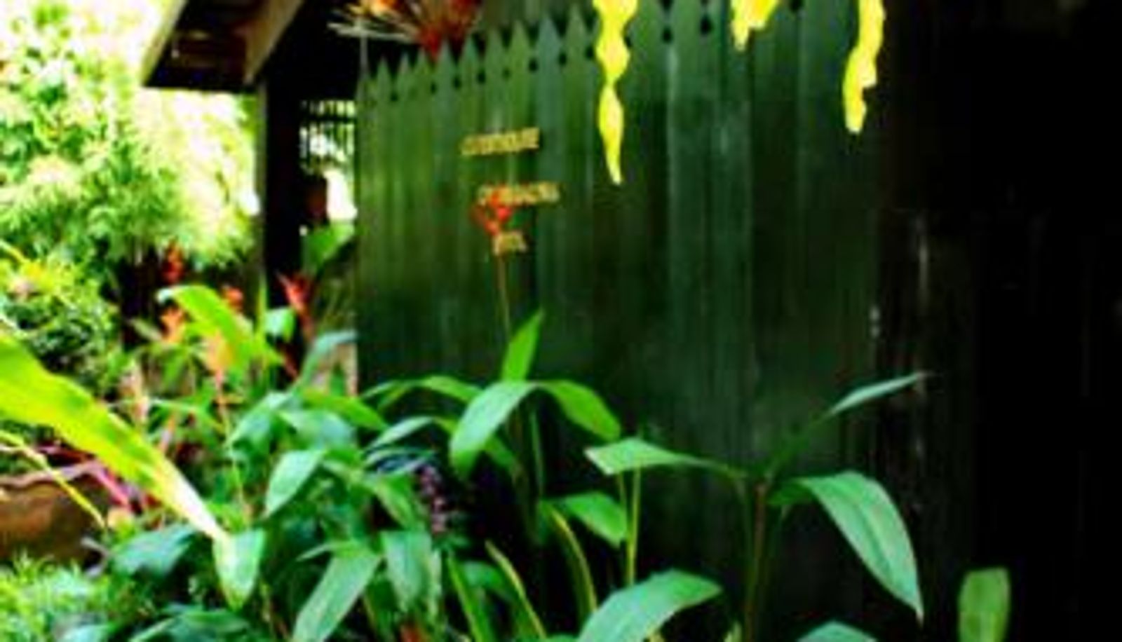 Hotel Außenbreich - Club One Seven Gaymen Chiang Mai
