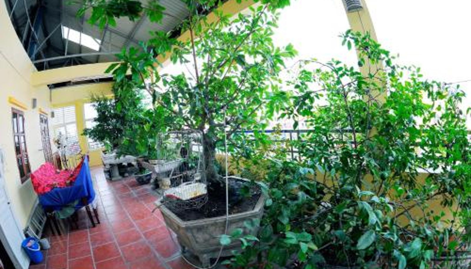 Terrace - Binh Minh Hotel