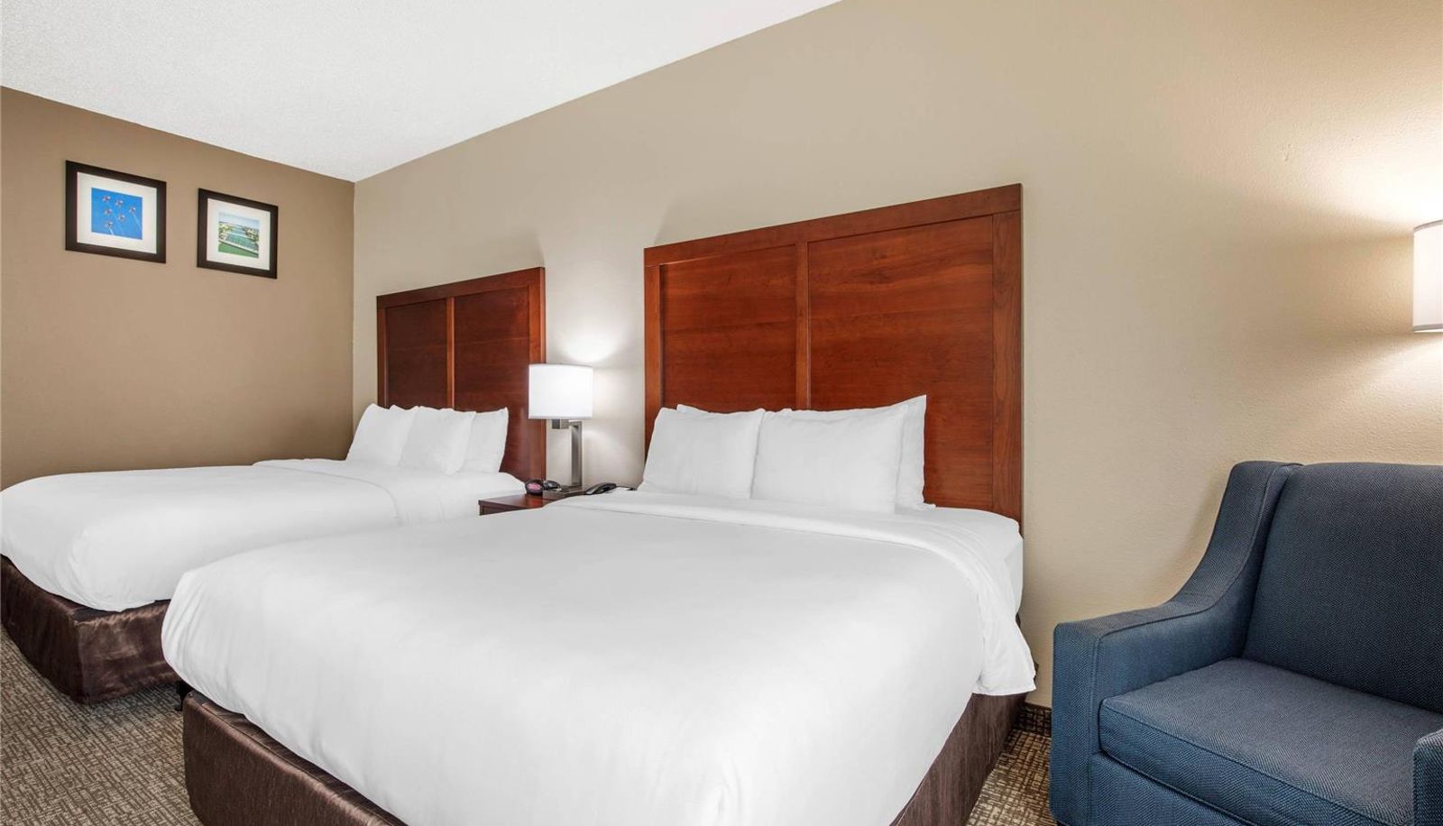 Room - Comfort Inn & Suites Temple - Medical Center