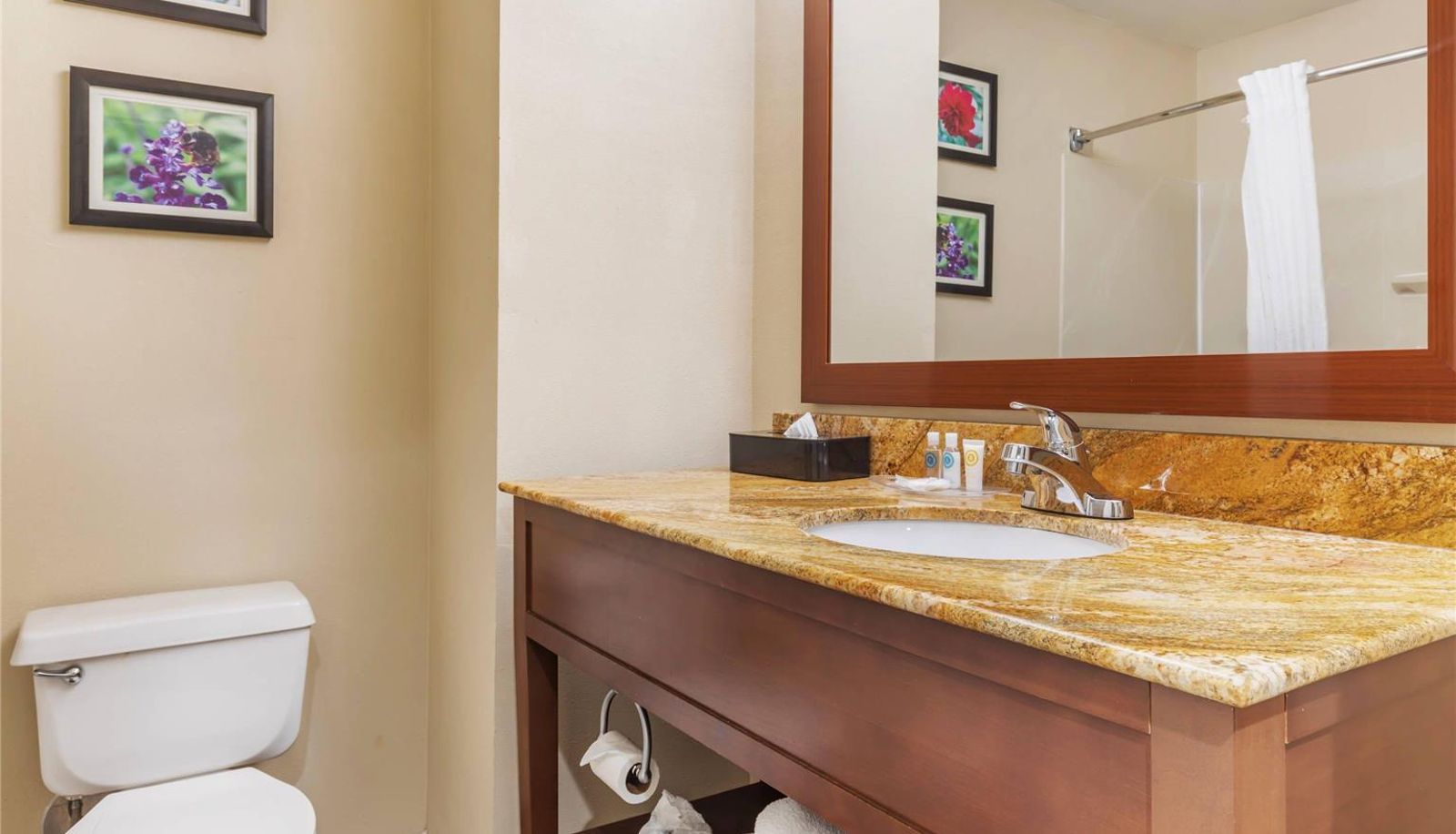 Room - Comfort Inn & Suites Temple - Medical Center