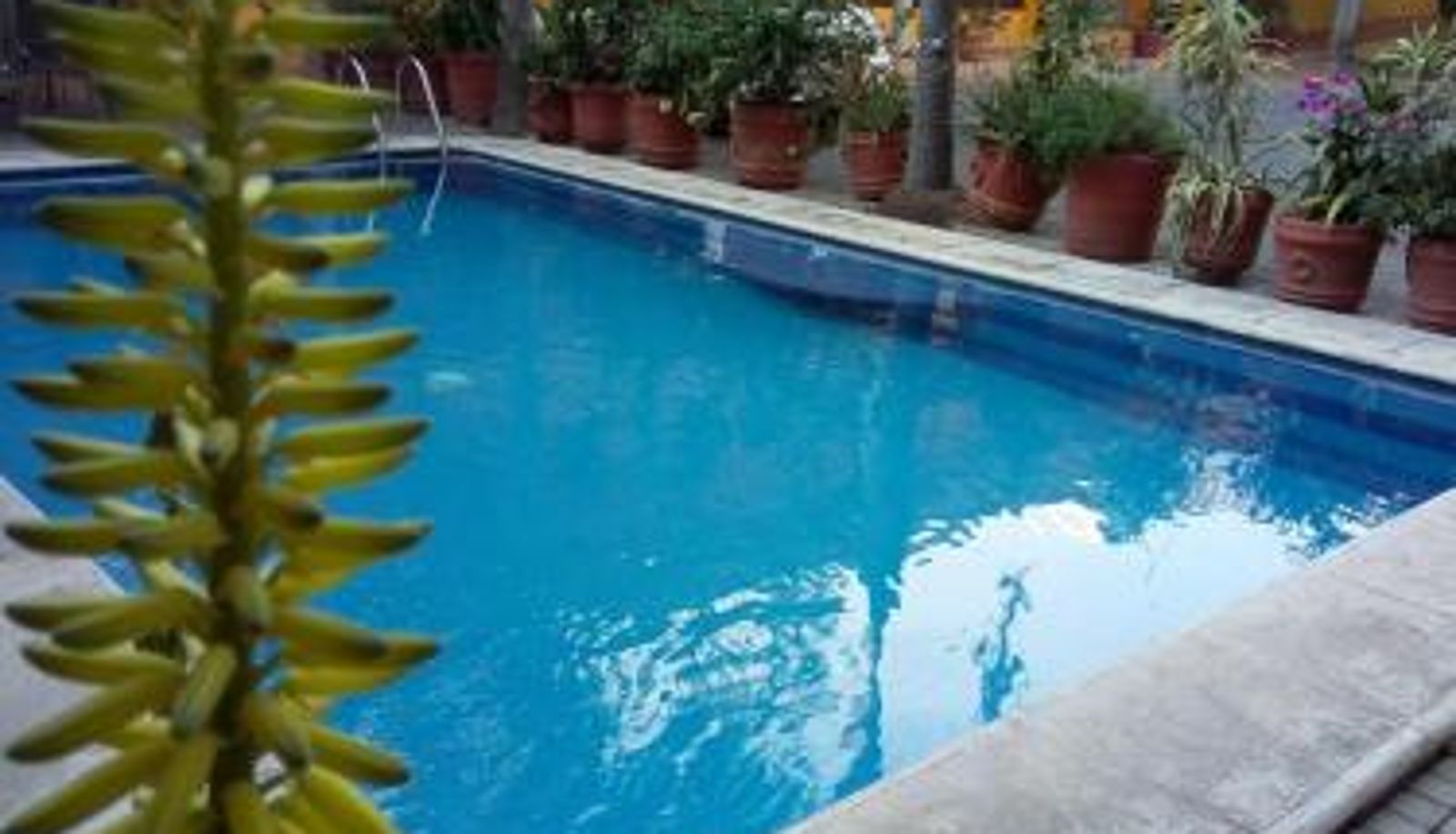 Pool - Hotel Plaza del Sol