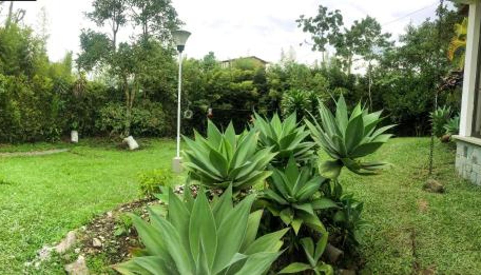 Info - Cotinga Hotel Spa