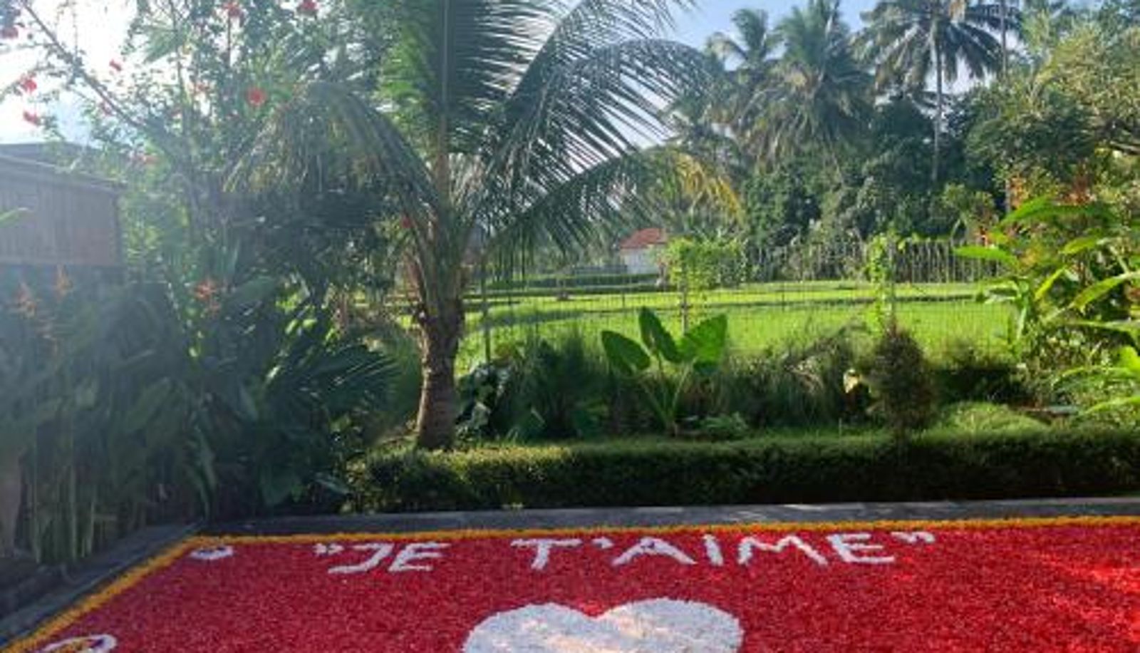 Info - Poka Ubud Hidden Paradise & Spa by EPS