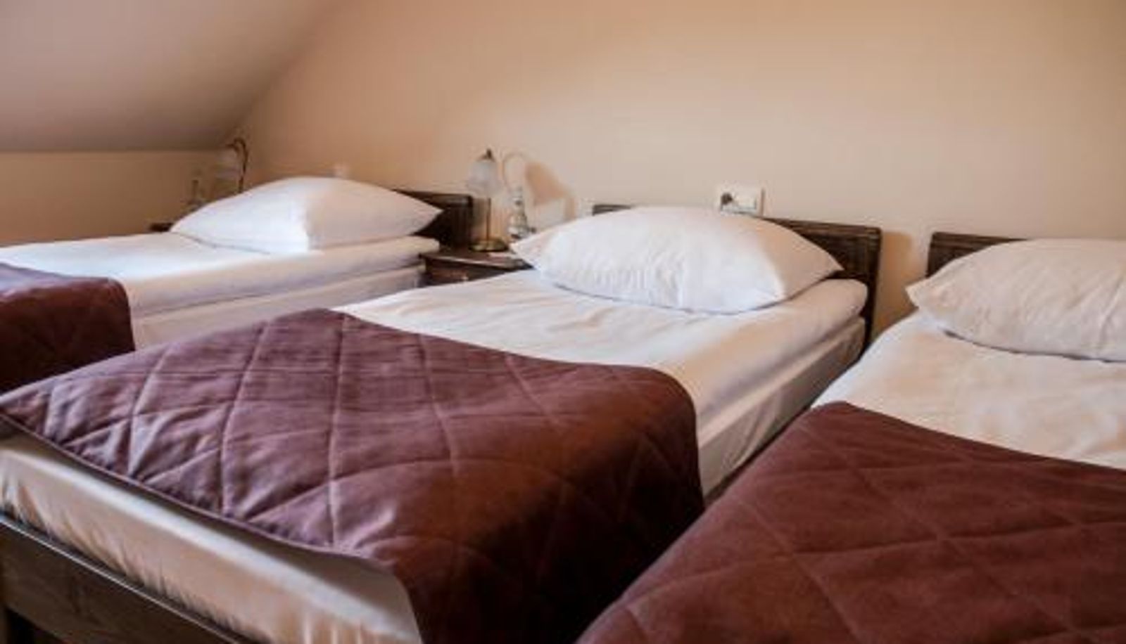 Chambre Standard - Hotel Pod Kogutkiem