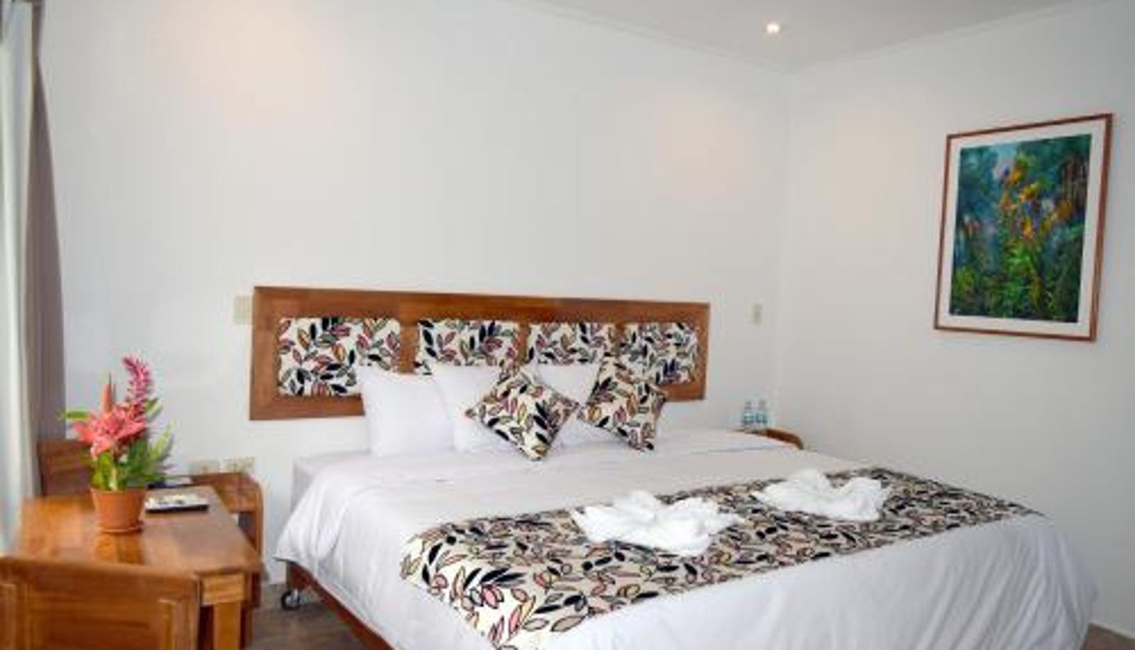 Info - Hotel Jungle House