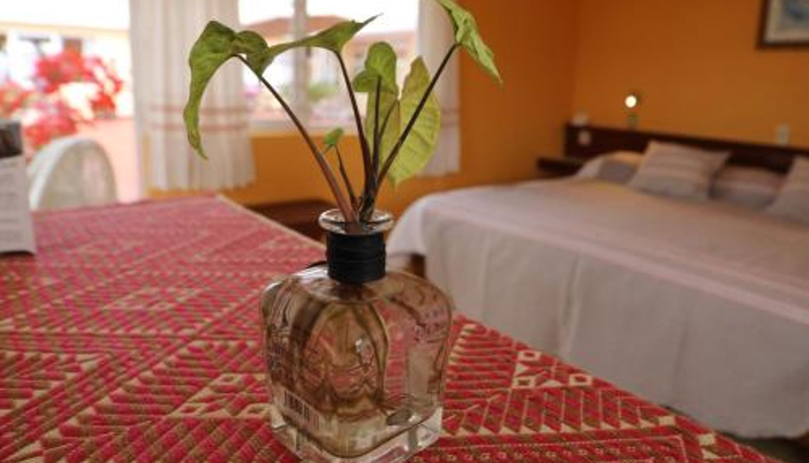 Room - Belisana