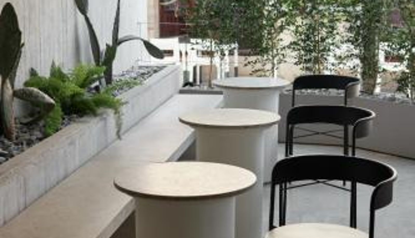 Info - Alinea Primo Historic Center