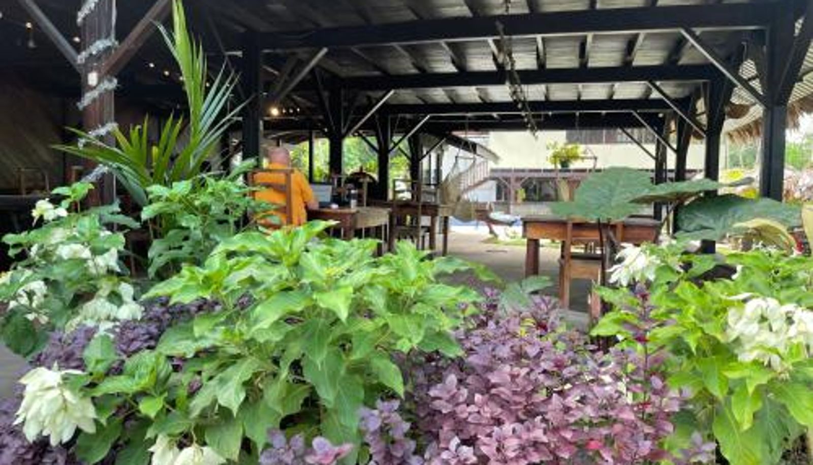 Info - Perla Negra Beachfront