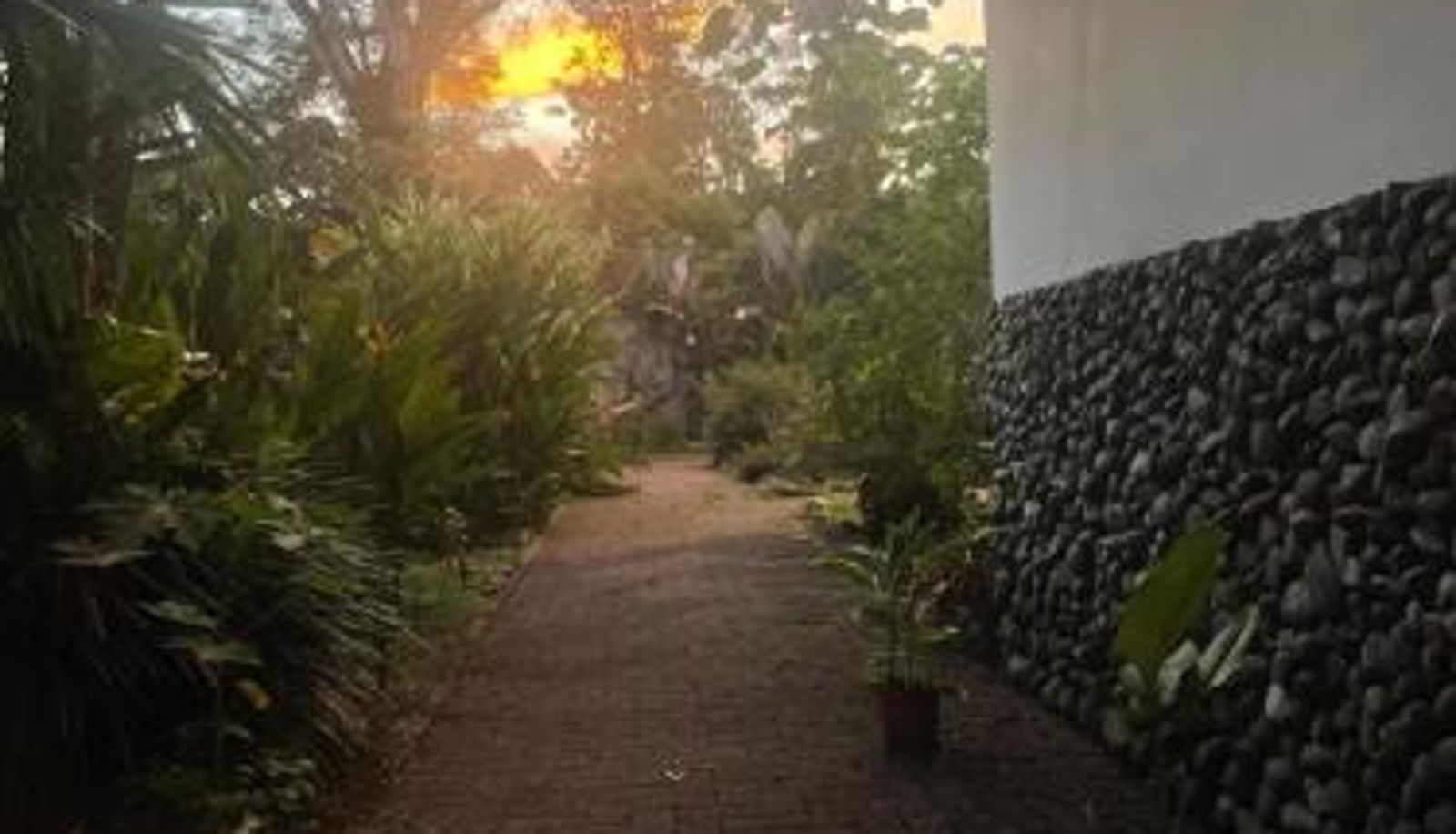 Info - Perla Negra Beachfront