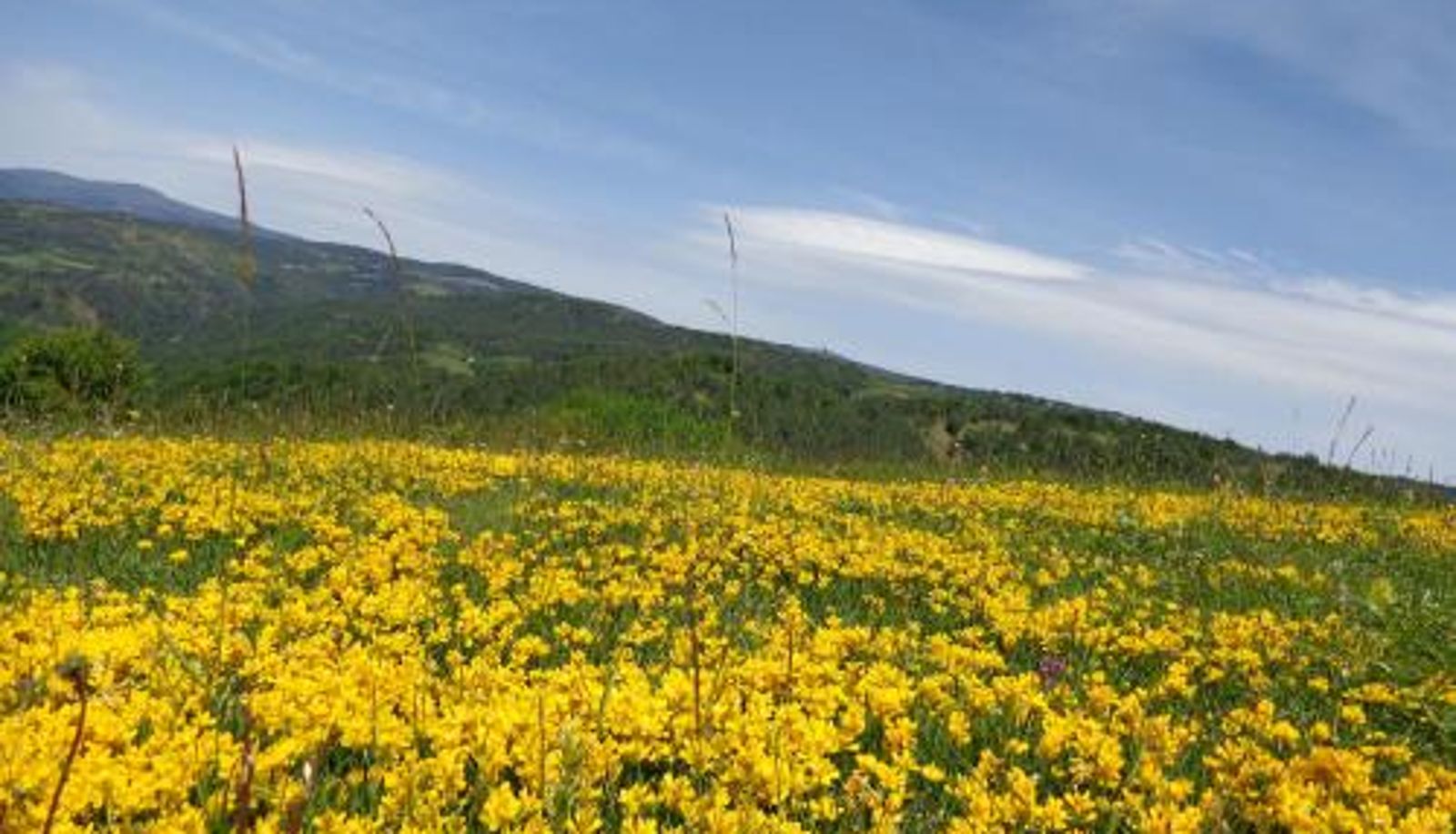 Info - Hotel Manastir Berovo