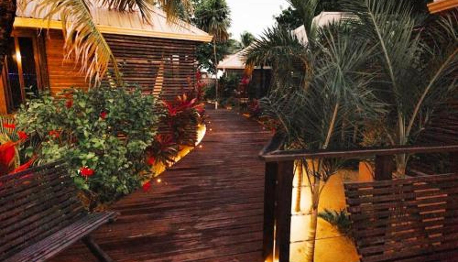 Apartment - Adults Only PUR Boutique Cabanas