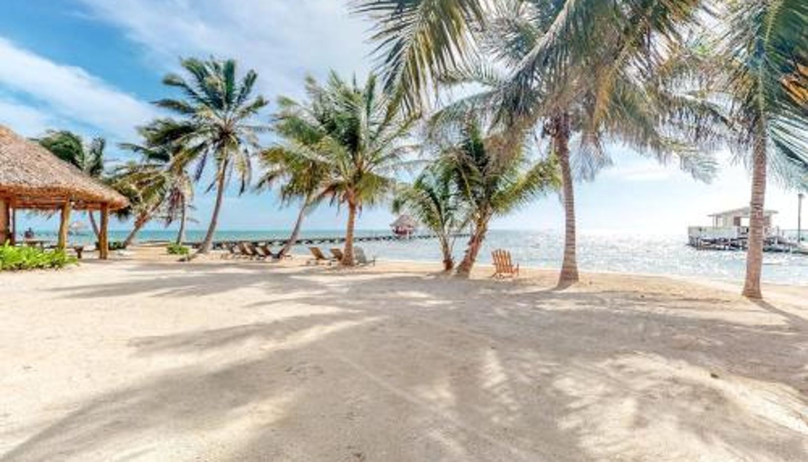 Camera standard - Coral Reef Condo (#30 @ Caribe Island)