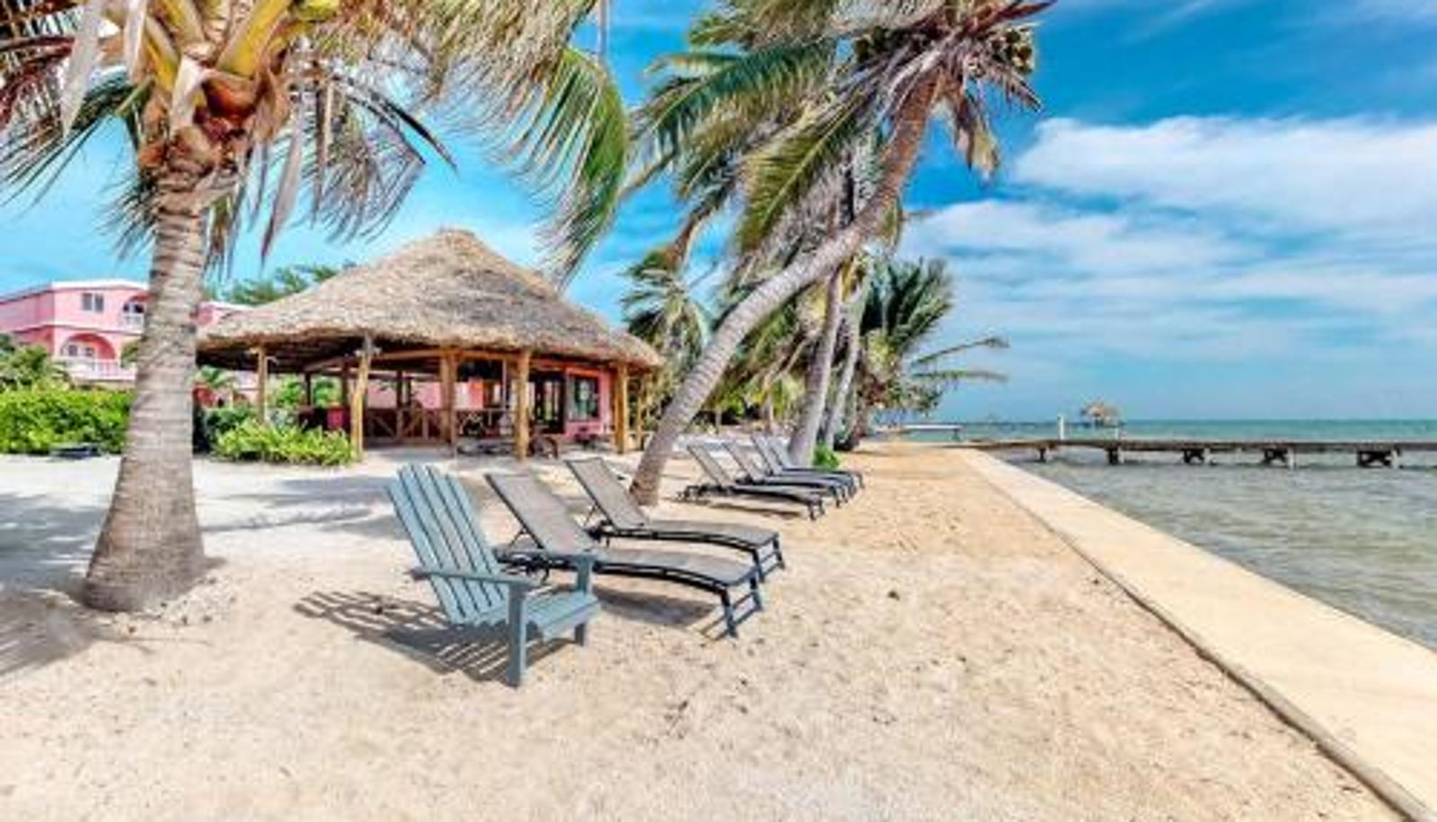 Camera standard - Palm @ Caribe Island