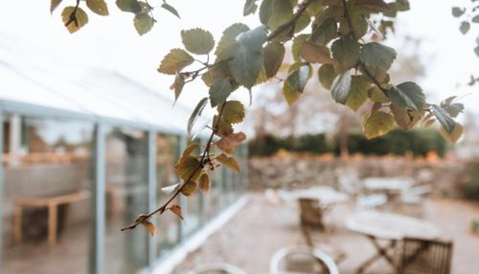 Frühstücksraum innerhalb des Restaurants - Hótel Skálholt