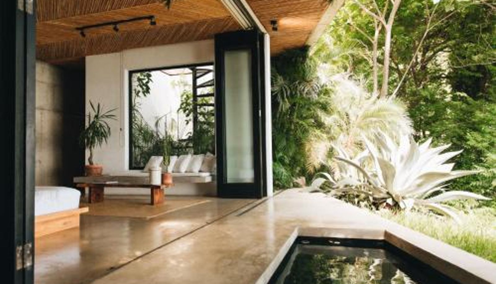 Info - Mint Santa Teresa - Adults only