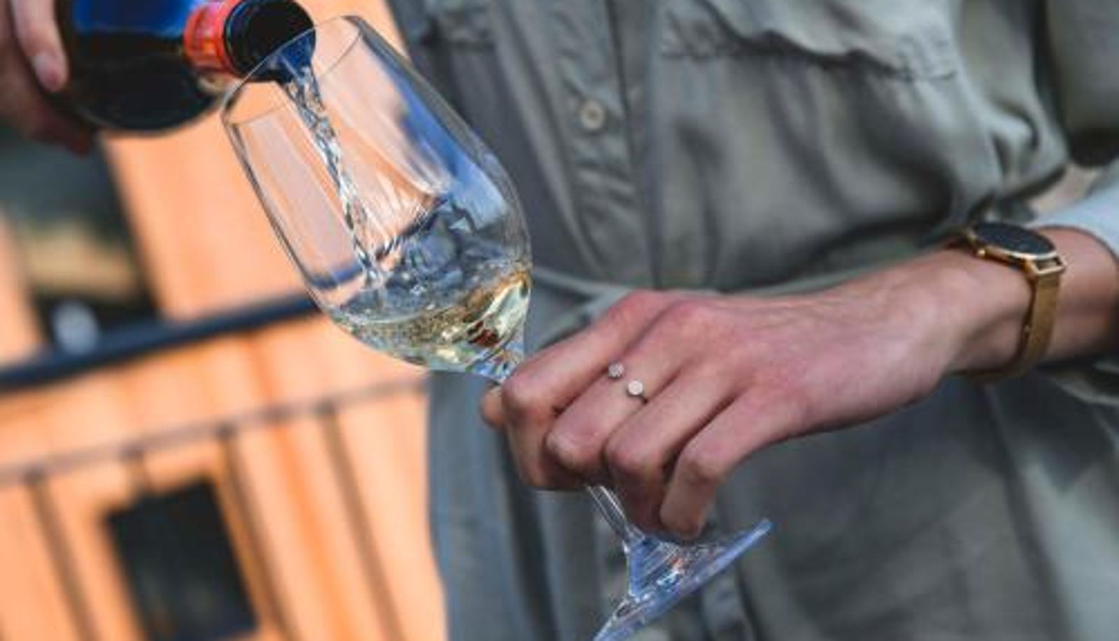Bar - Domaine Edegger - Organic Winery Badacsony