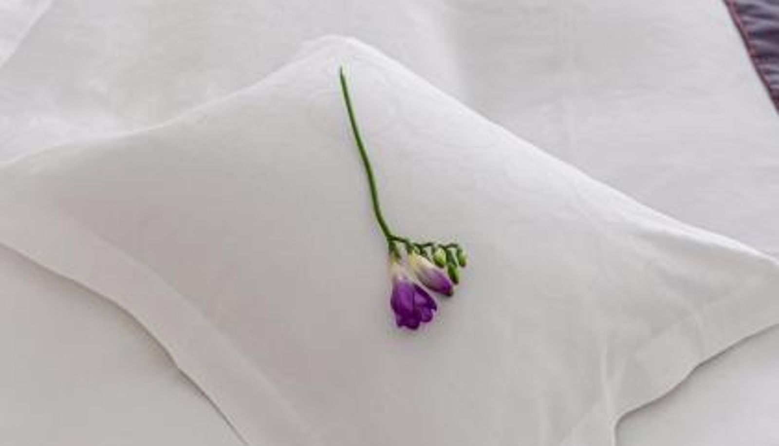 Habitación - Hotel Miruna - New Belvedere