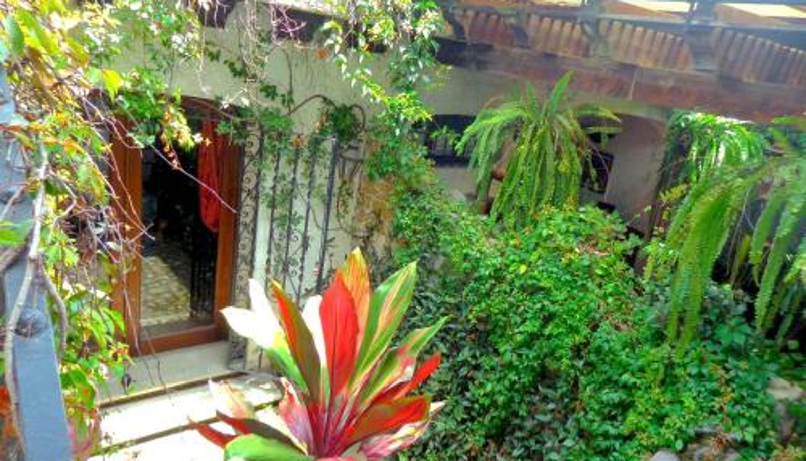 Standardzimmer - Cissus Hotel Boutique