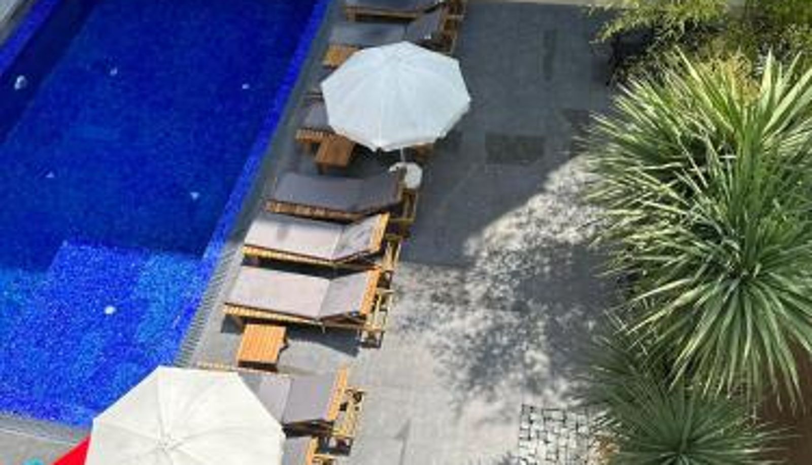 Info - Hotel Homey Kobuleti