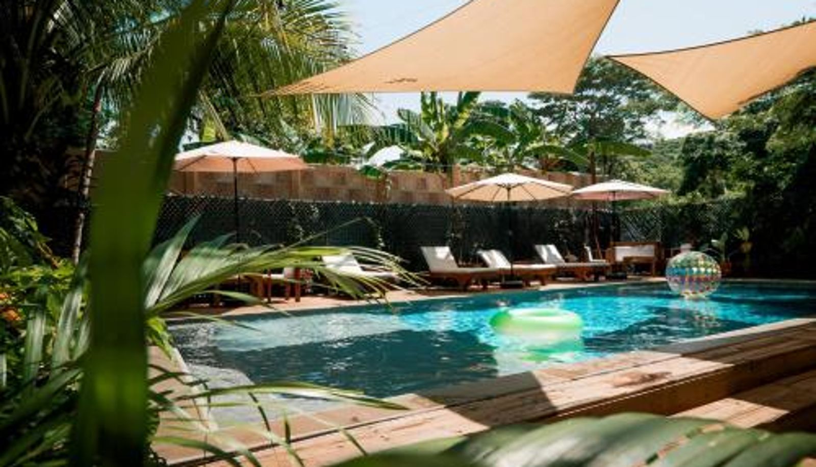 Pool - Hotel Michanti