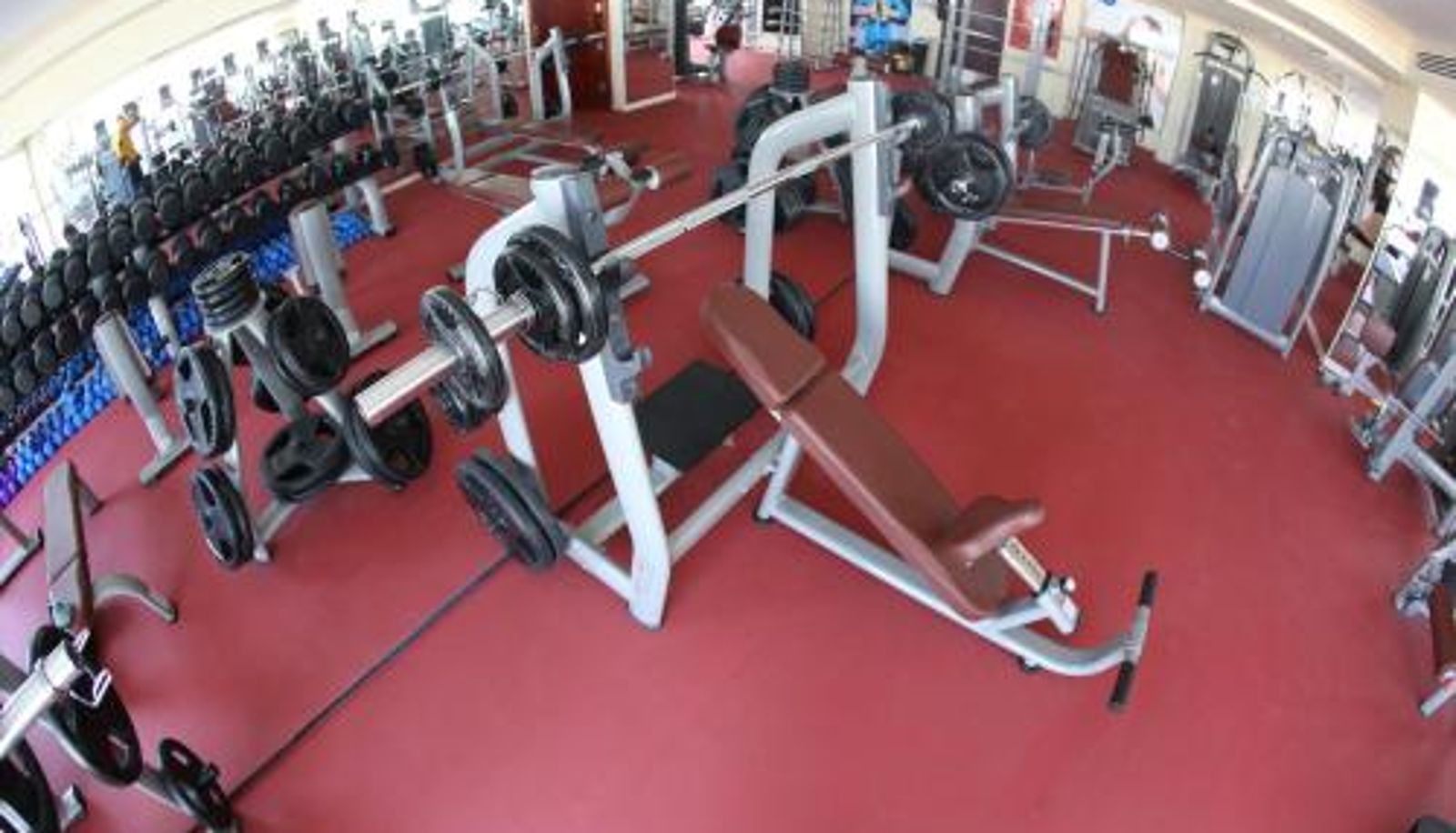 Wellness and fitness area - Palestine Plaza Hotel