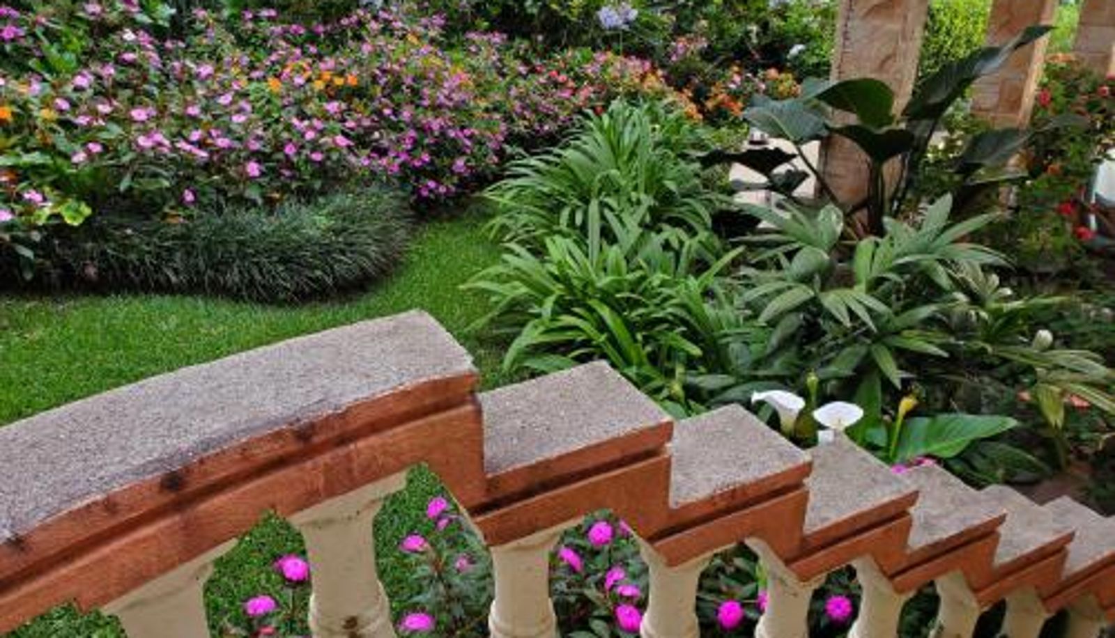 Info - Finca Paraiso Mountain Retreat near San Jose Airport